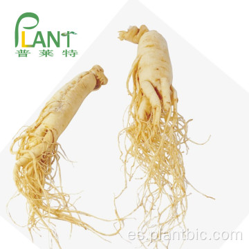 Bajo contenido de pesticidas Panax ginseng extracto de raíz ginsenósidos 80%